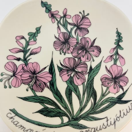 《ARABIA》Botanica　ヤナギラン　(chamaenerium angustifolium)　【Esteri Tomula】