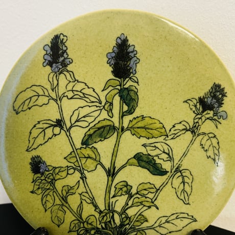 【Gunvor Olin-Gronqvist】 Prunella vulgaris 陶板《Arabia 》