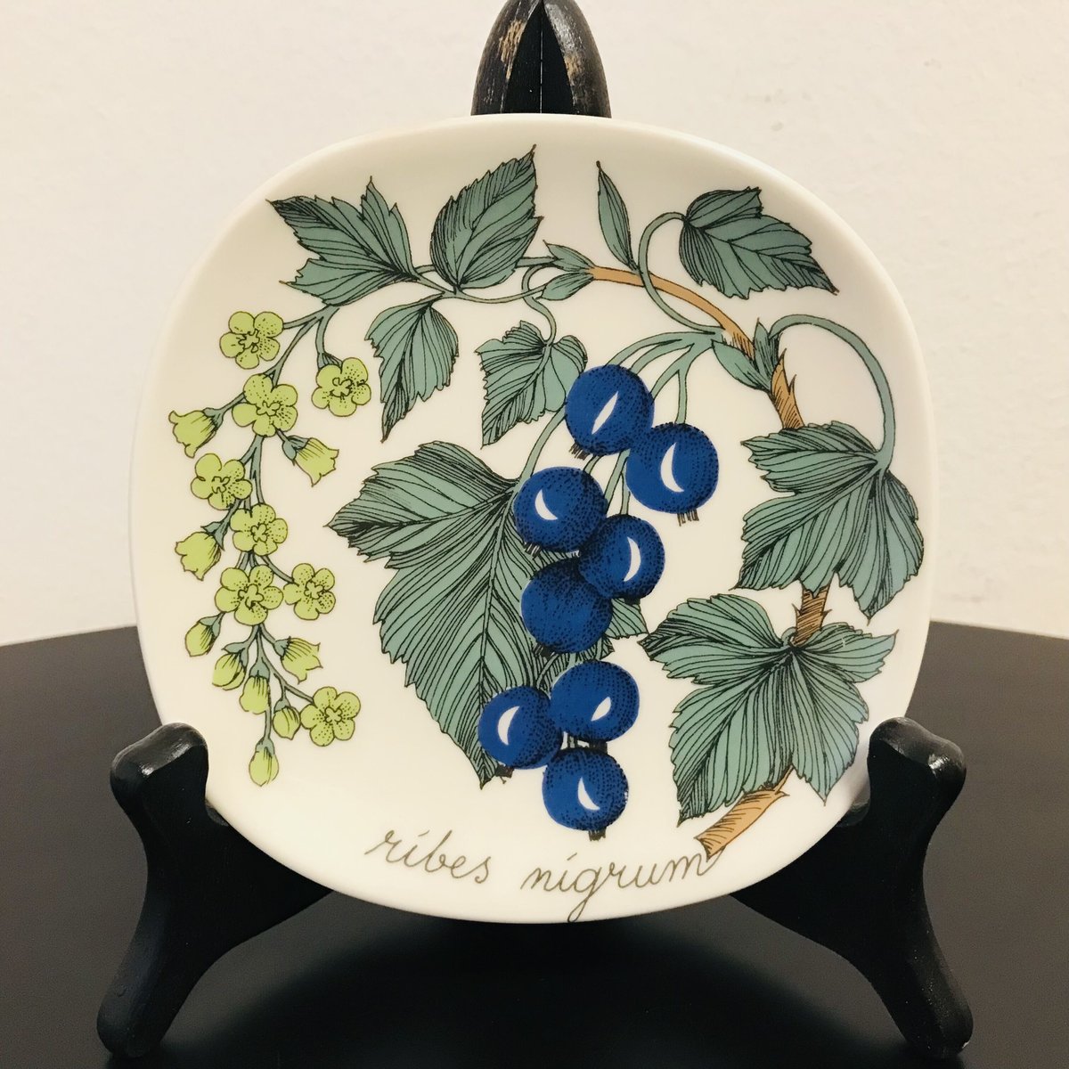 ARABIA エステリ・トムラ ボタニカ \"Ribes rubrum\" ARABIA エステリ・トムラ ボタニカ Ribes rubrum