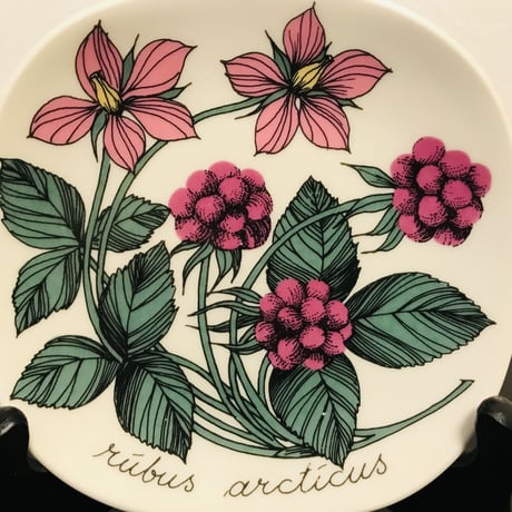 《ARABIA》Botanica　キイチゴ　(rubus arcticus)　【Esteri Tomula】