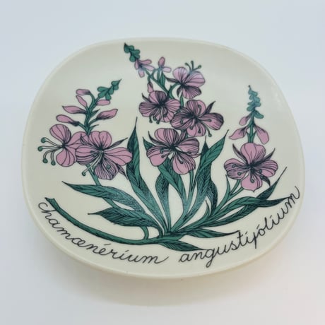 《ARABIA》Botanica　ヤナギラン　(chamaenerium angustifolium)　【Esteri Tomula】