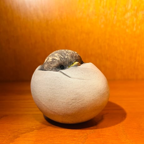 CATEGORY 【Hannes Johansson】 | sugallery