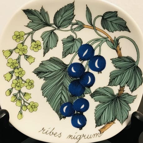 《ARABIA》Botanica　ブラックカラント　(ribes nigrum)　【Esteri Tomula】