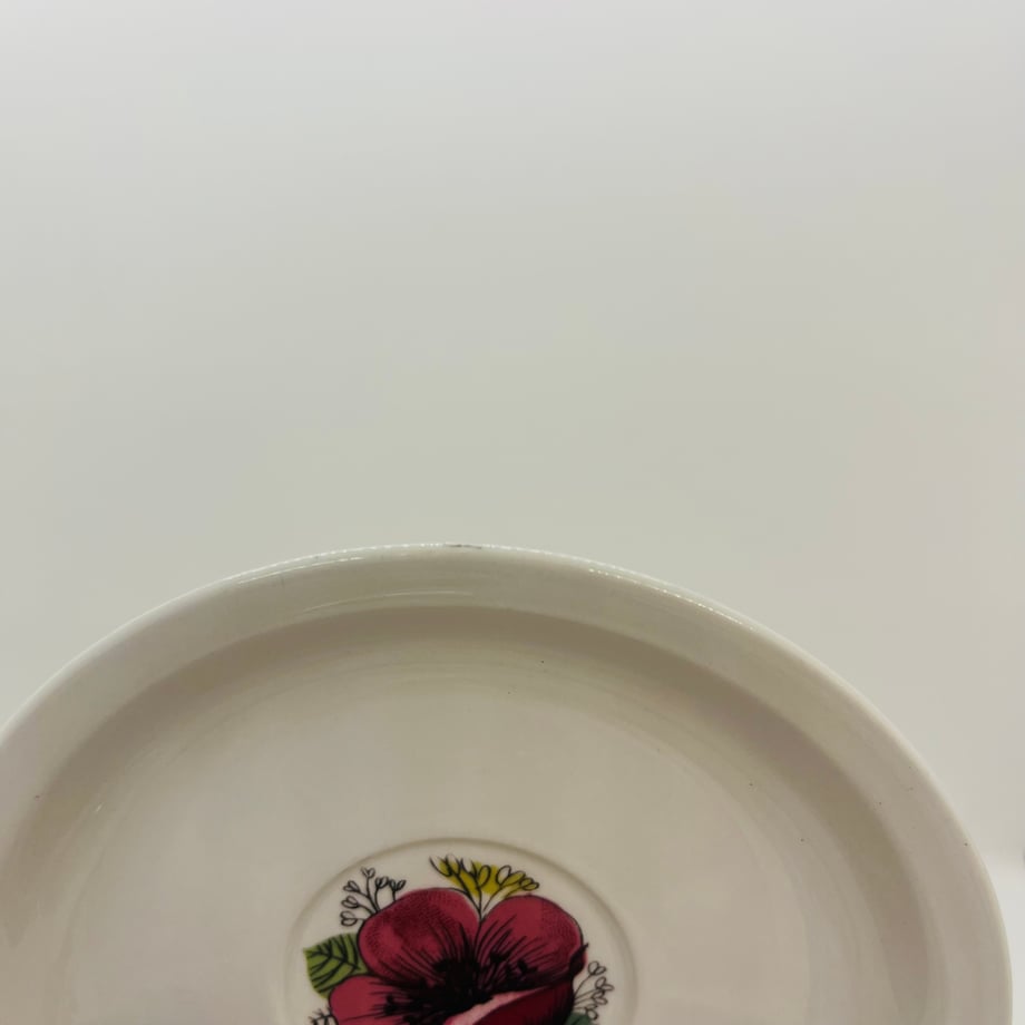 67424baf9b0fd525e65d644f
