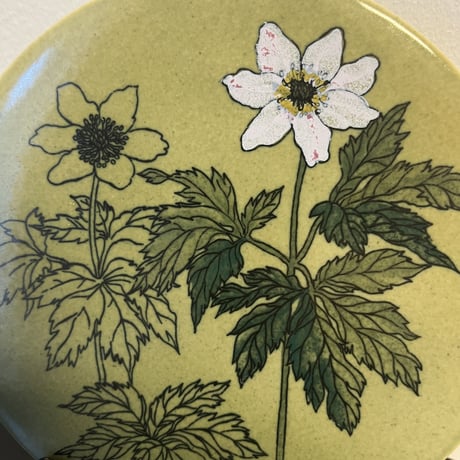【Gunvor Olin-Gronqvist】Anemone Nemorosa 陶板《Arabia 》