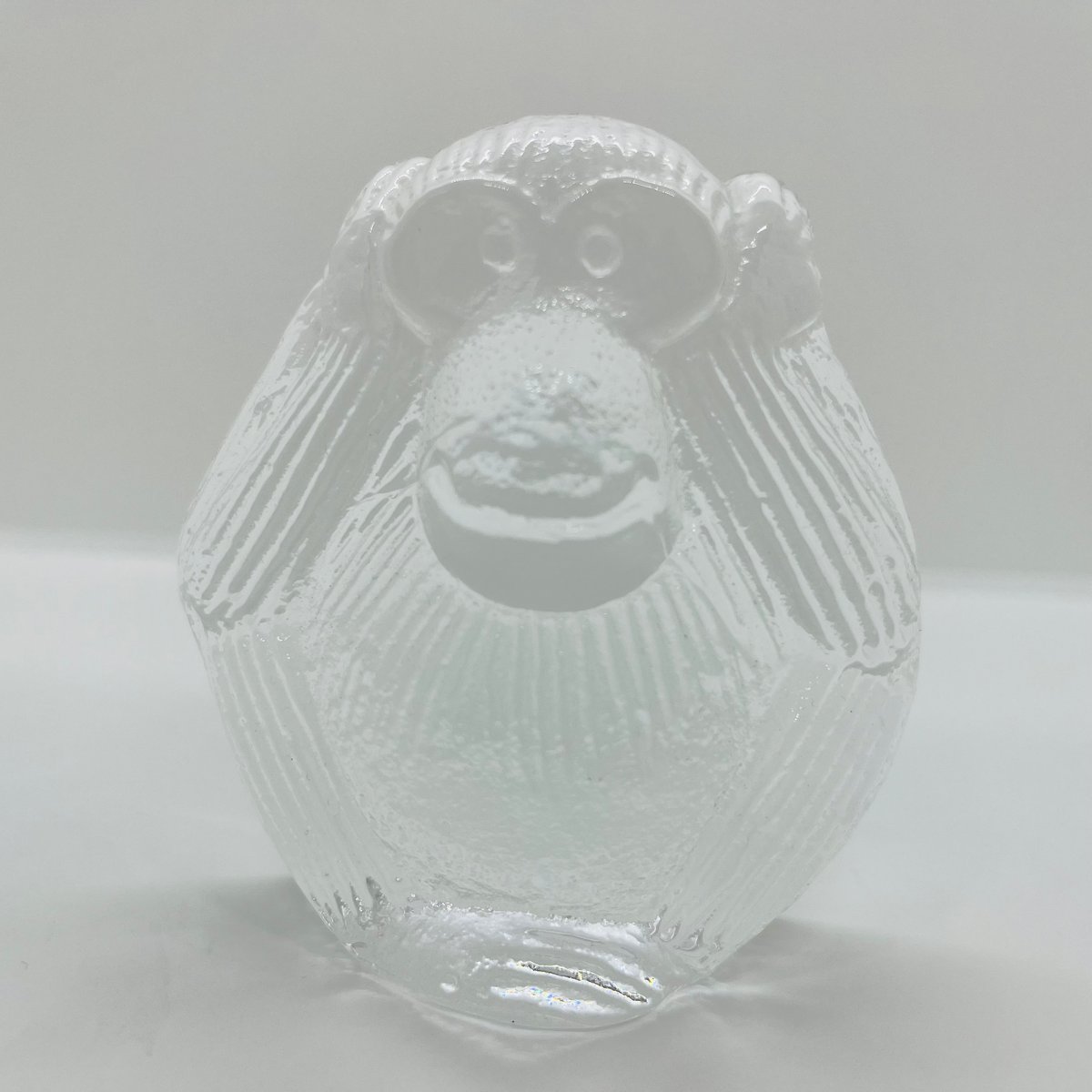 南アフリカ便！ XL サイズ！ クーズー スカルホーン　※台座付 fit=scale-down,w=1200