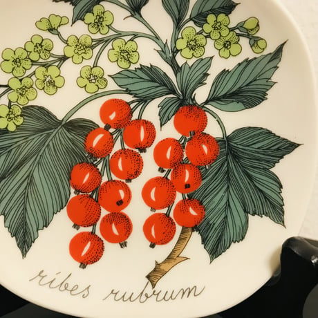 《ARABIA》Botanica　箱付きレッドカラント　(ribes rubum)　【Esteri Tomula】
