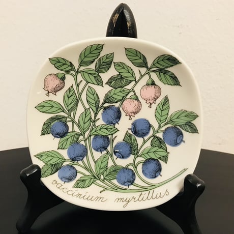 《ARABIA》Botanica　ブルーベリー　（Vaccinium myrtillus ）【Esteri Tomula】