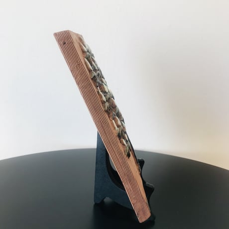 《Jie Gantofta》西洋トチノキ【Gabi】