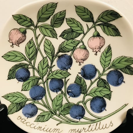 《ARABIA》Botanica　ブルーベリー　（Vaccinium myrtillus ）【Esteri Tomula】