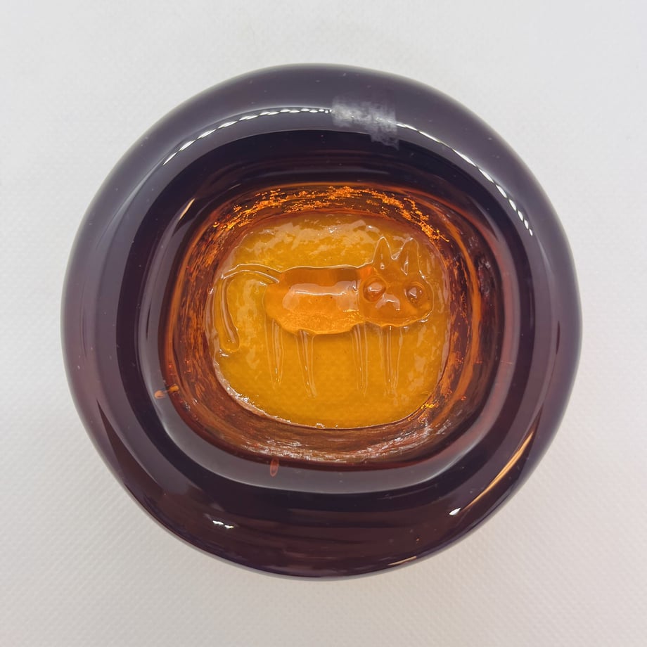 6320300afd12d1585a562e19