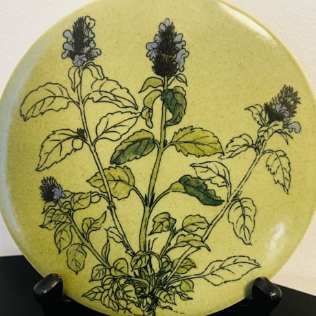 【Gunvor Olin-Gronqvist】 Prunella vulgaris 陶板《Arabia 》