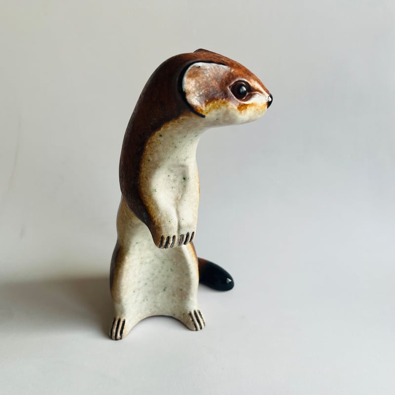 イタチ チョウセン イタチ 生態 - 日東防疫 広島｜イタチ、コウモリ、ムカデ