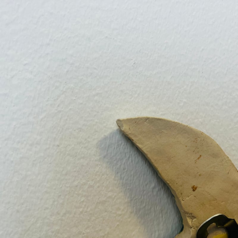 Gabi Citron-Tengborg】かっこいい鳥 | sugallery