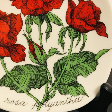 《ARABIA》Botanica　　野ばら　（rosa polyantha）【Esteri Tomula】