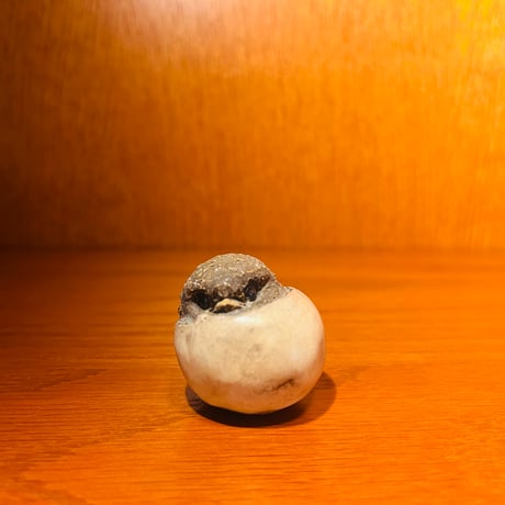 CATEGORY 【Hannes Johansson】 | sugallery