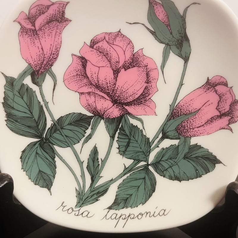 ARABIA》Botanica ピンクローズ（Rosa Lapponia)【Esteri T