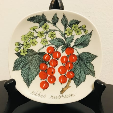 《ARABIA》Botanica　箱付きレッドカラント　(ribes rubum)　【Esteri Tomula】