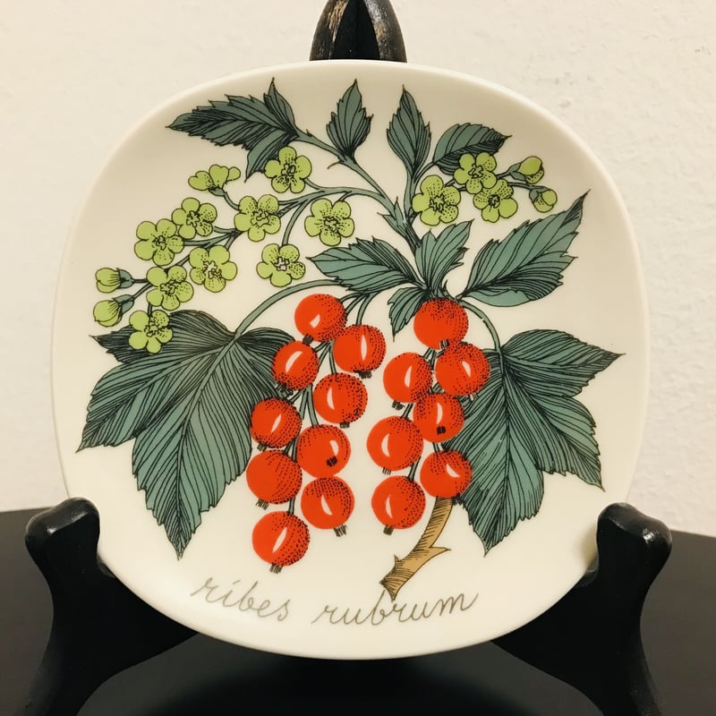 ARABIA》Botanica 箱付きレッドカラント (ribes rubum) 【Este