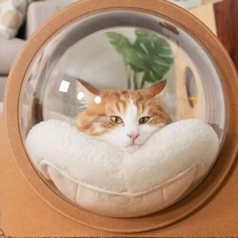 宇宙船型 猫用ベッド】MYZOO-宇宙船ALPHA /ウォールナット,安定 宇宙船型 猫用ベッド】MYZOO-宇宙船ALPHA /ウォールナット,安定