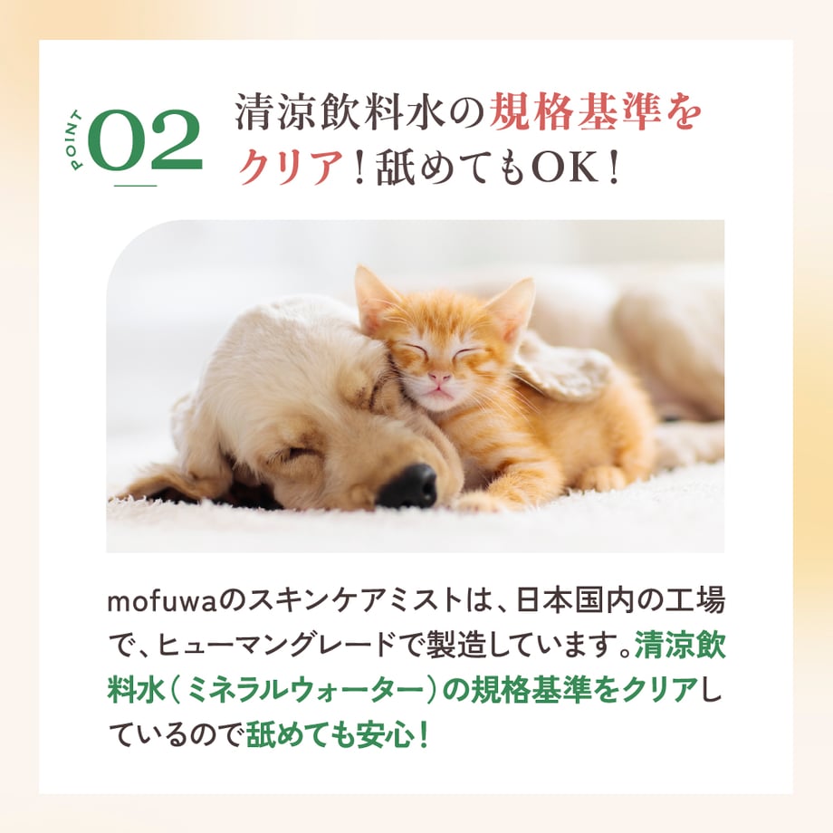 6364bbb04ff8c256db3a1828