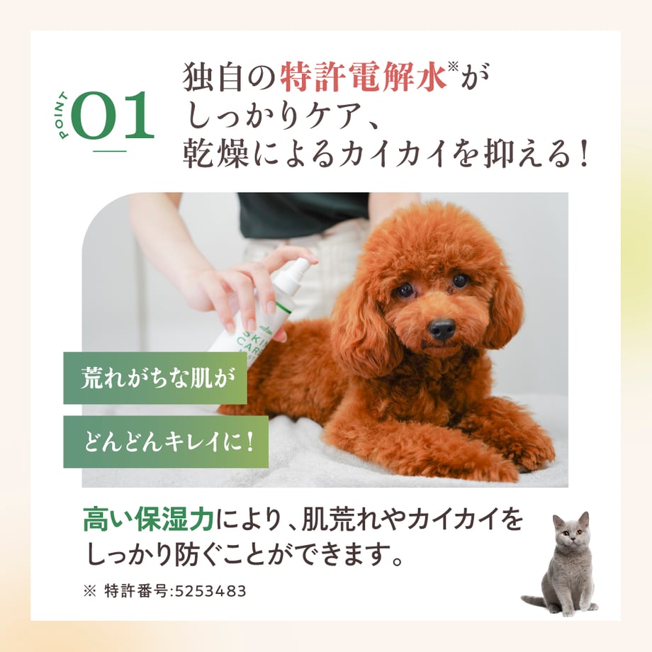6364bbb04ff8c256db3a1828