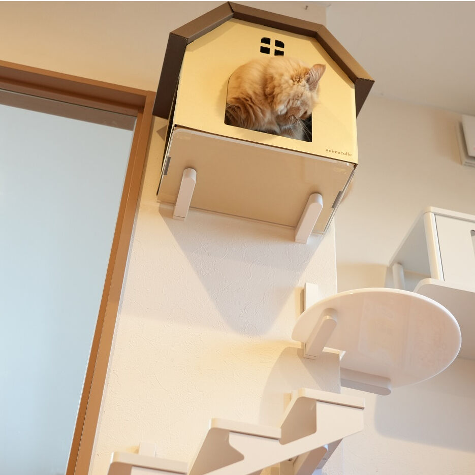 多機能 猫ハウス 爪とぎ 部屋になじむ木目模様 部屋になじむ木目模様