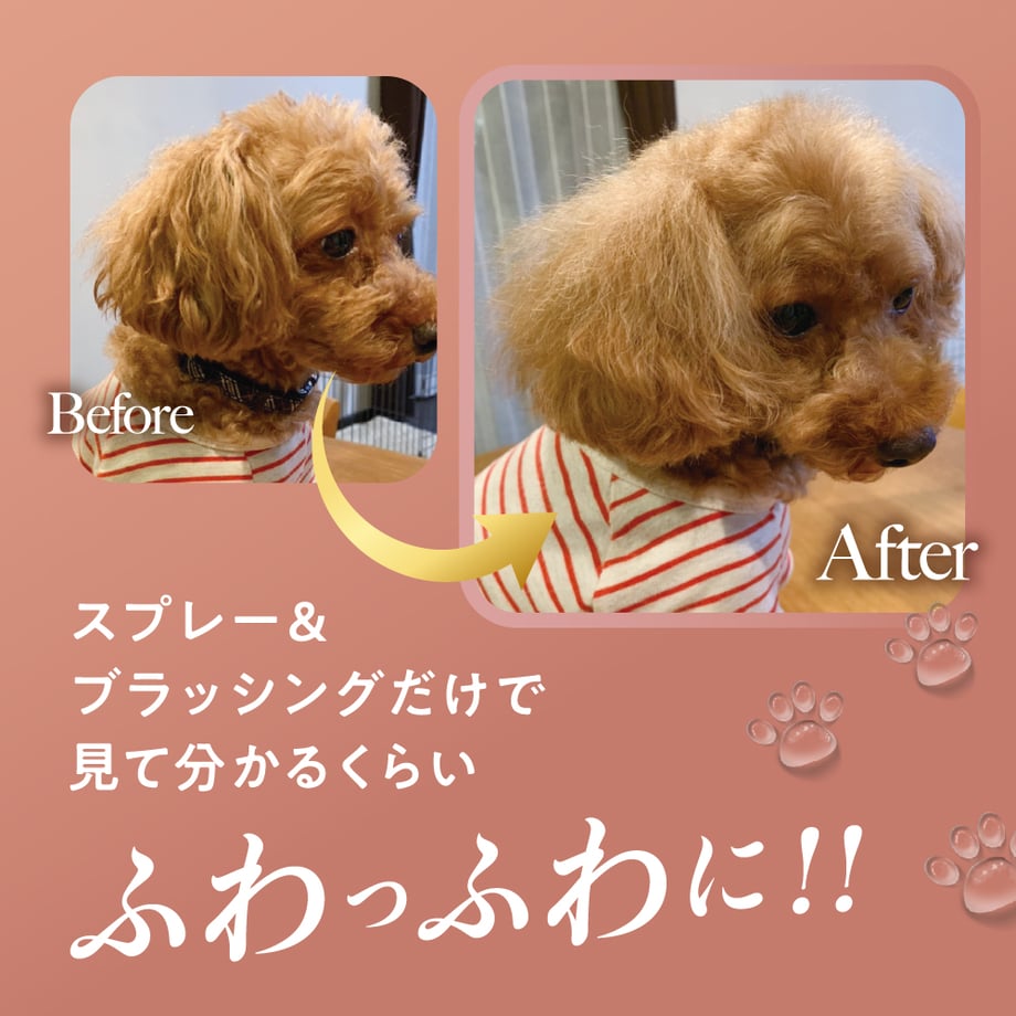 6364be70211ac36abc6f28eb