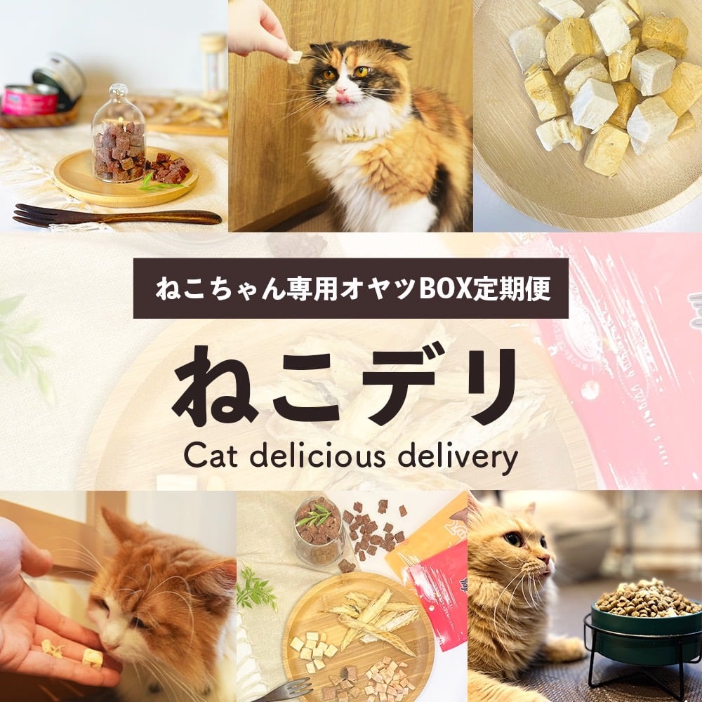 猫のオヤツ定期便(ねこデリ)】人気オヤツを厳選!初回限定 猫のオヤツ定期便(ねこデリ)】人気オヤツを厳選!初回限定