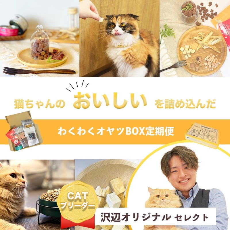猫のオヤツ定期便（ねこデリ）】人気オヤツを厳選！初回限定