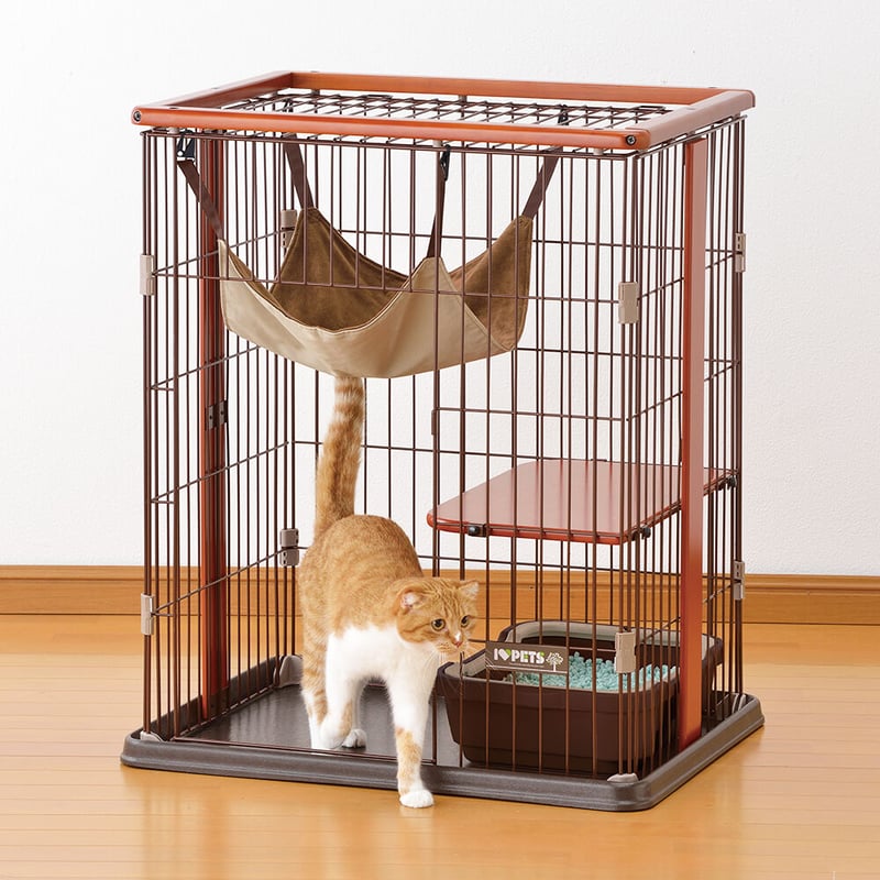 猫ちゃんお迎えセット