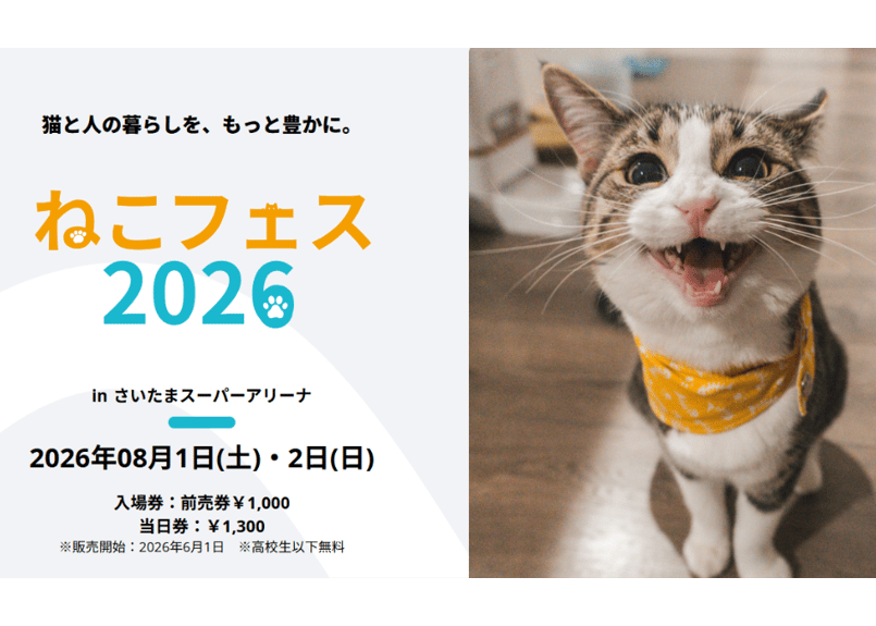 [ねこさまページ]せーぶぽいんと かなめ 写メ券 TikTok券 セット 残り26枚（無くなり次第終了）【 数量限定 2Day's 】2026年8月1日、2