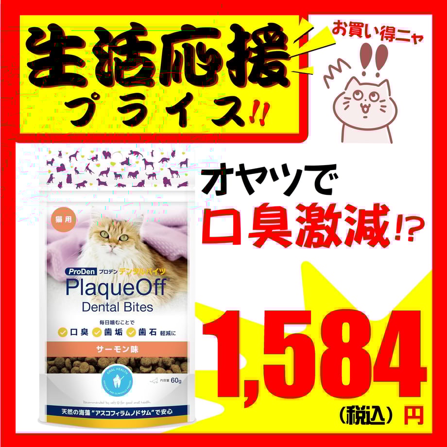 67a9ab6756efca020415276d
