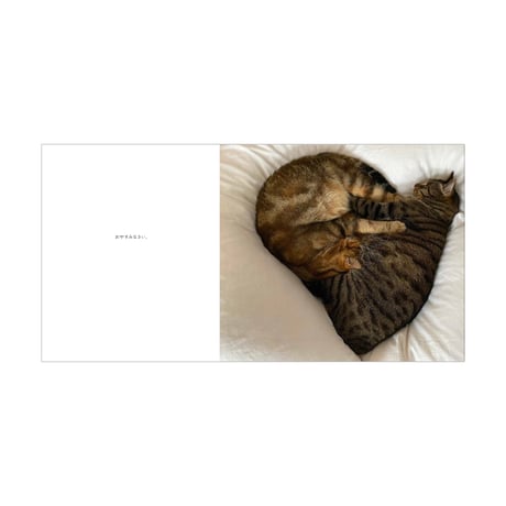 ［岩合光昭の写真絵本］ねこの一日