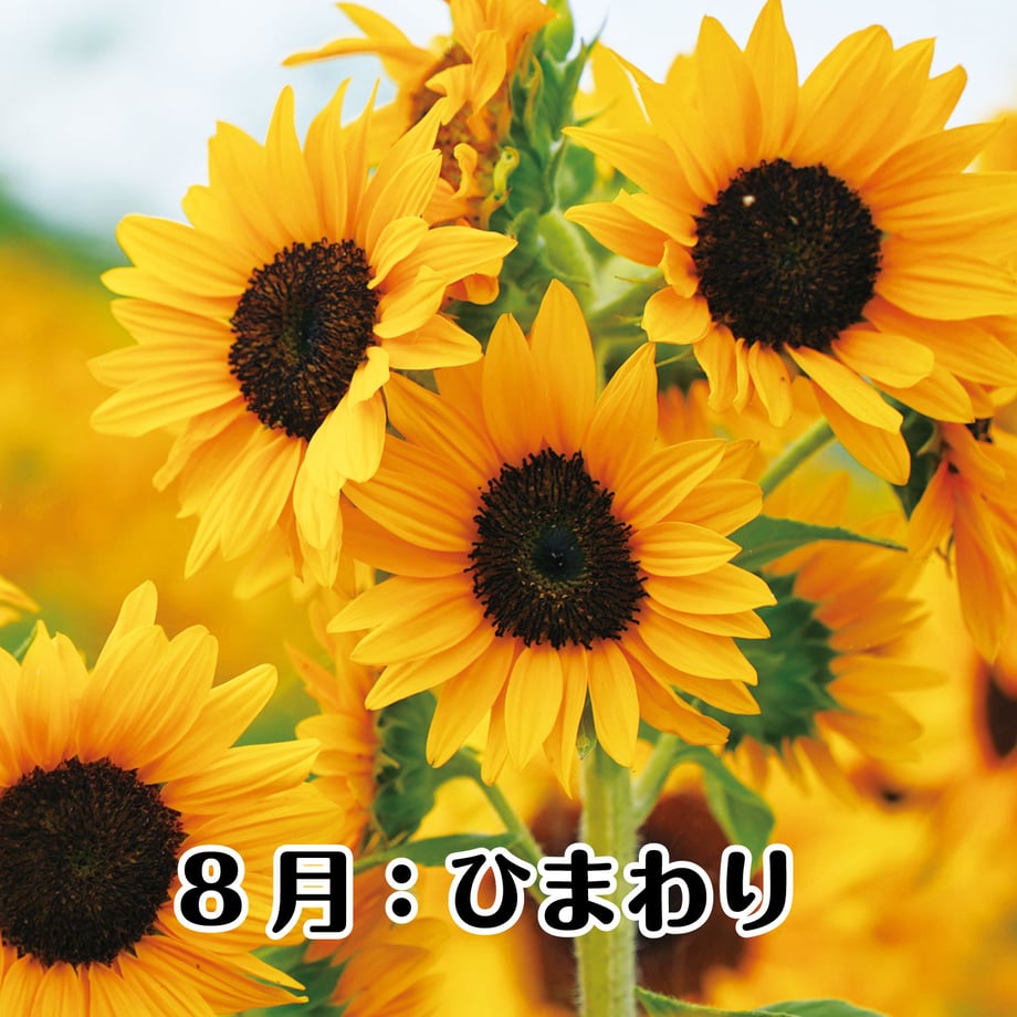 67bfd2461b359a01d90a2b0b