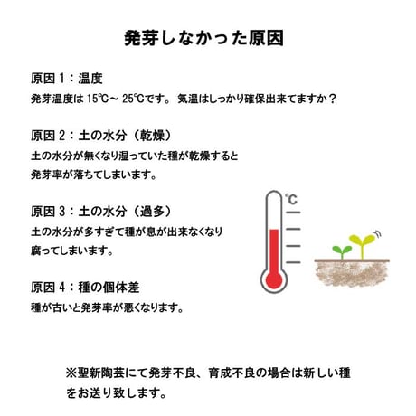 きっとみつかる 四つ葉のクローバー 栽培キット クローバー 栽培セット 開運 盆栽 栽培 観葉植物 鑑賞用植物 簡単 栽培 991598