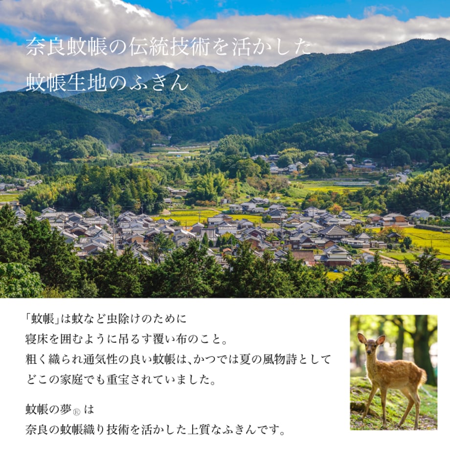 65e18c5bee8b3e16978ae869