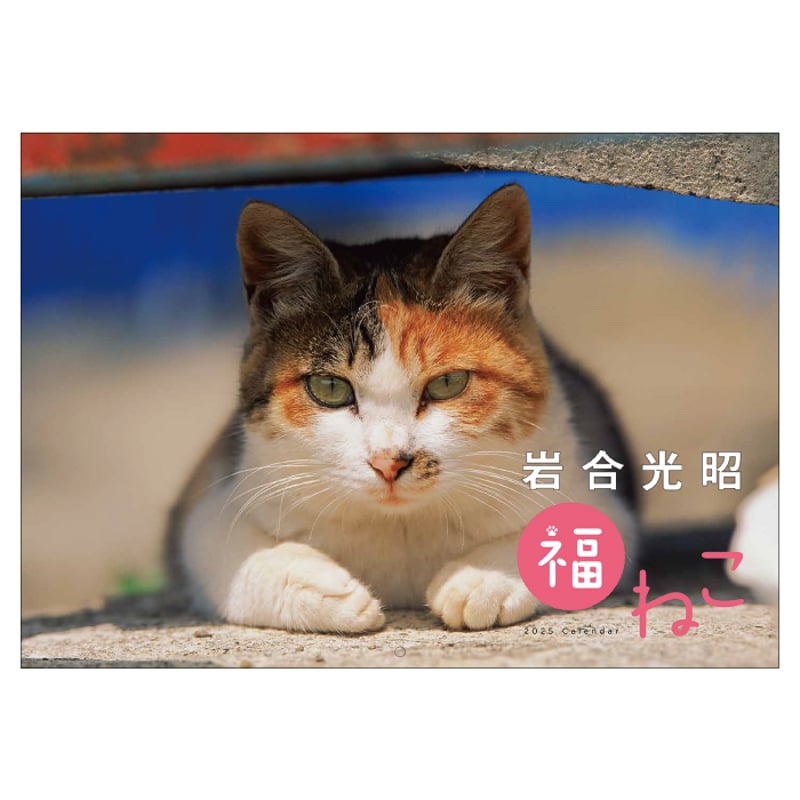 希少！高さ29.5cm 昭和初期　招き猫 Amazon.co.jp: 昭和レトロ 招き猫 黒猫白猫 大小2体セット 道後