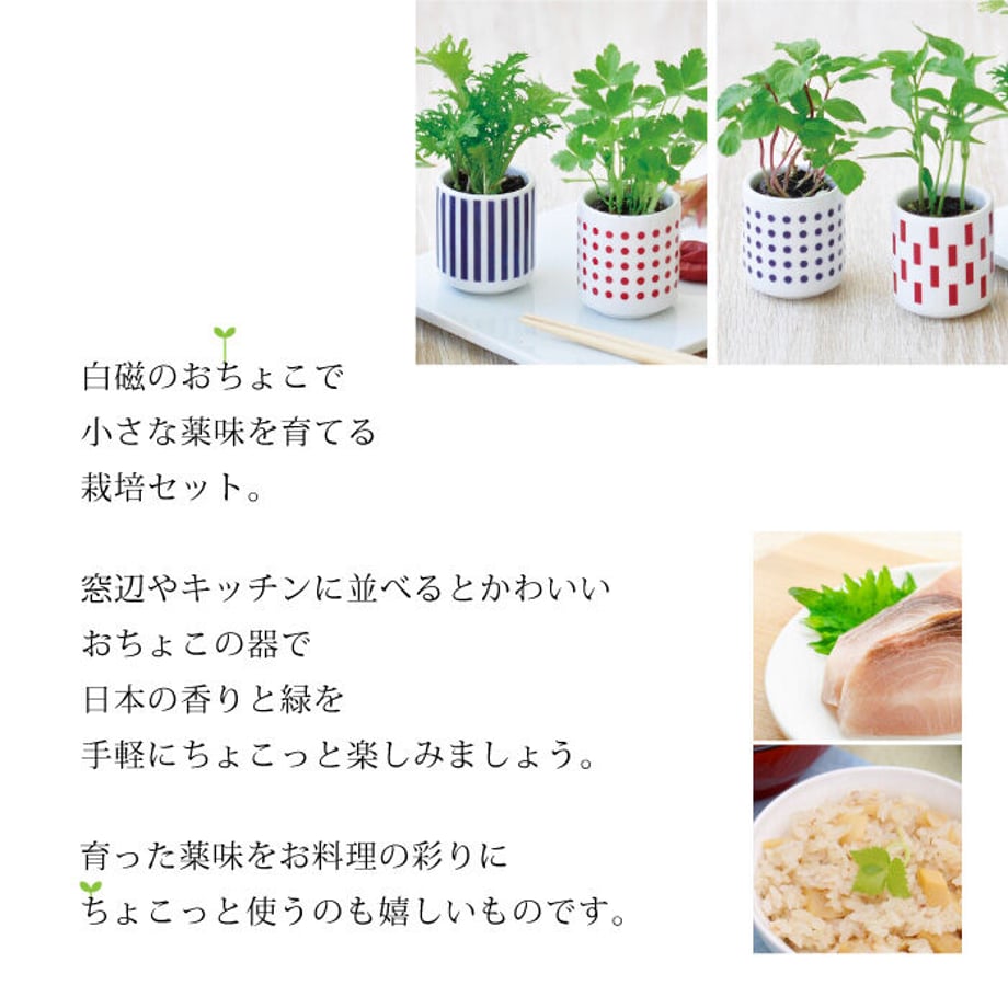 64cb60be2bd35e003255322f