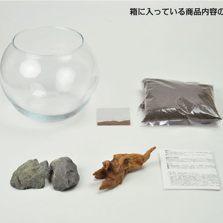 育てる水草 S GD-812 水草 アクアリウム 育てる 栽培キット 簡単 金魚鉢 インテリア 植物 育てる 自由研究 水景 癒し お手軽 趣味 992454