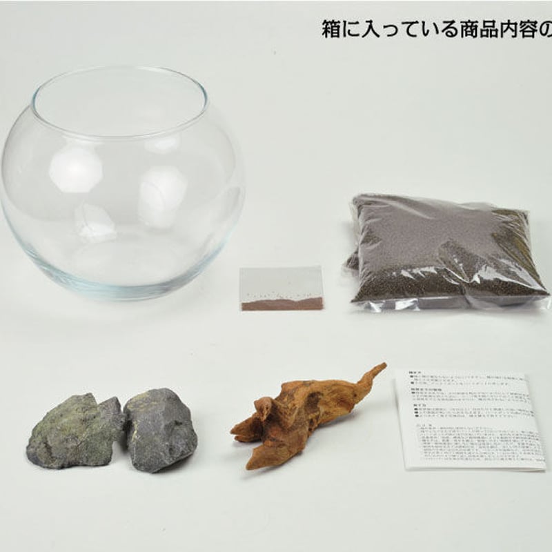 育てる水草 S GD-812 水草 アクアリウム 育てる 栽培キット 簡単