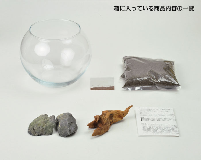 育てる水草 S GD-812 水草 アクアリウム 育てる 栽培キット 簡単