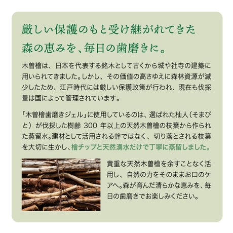 木曾檜歯磨きジェル オーラルケア 歯周病菌99.9％除菌 添加物ゼロ はみがき 歯磨き粉 口臭ケア 木曽ひのき ひのき 歯磨き剤 266075
