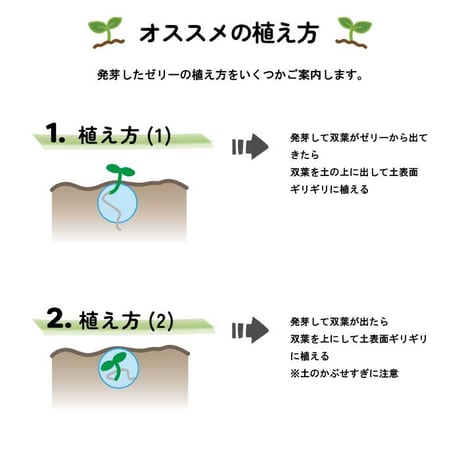 いちご 摘みたてイチゴ 栽培セット かわいい いちご 栽培 ストロベリー 栽培キット 四季なりいちご 食用 観葉植物 インテリア 癒し 994928