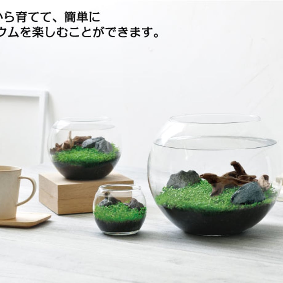 60a620a61945c75bf09bfcd8