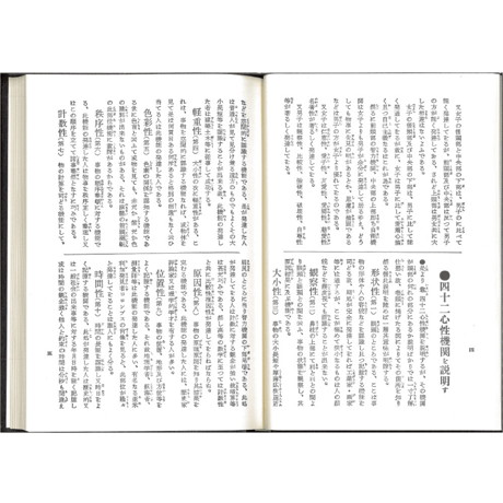 一代之運勢