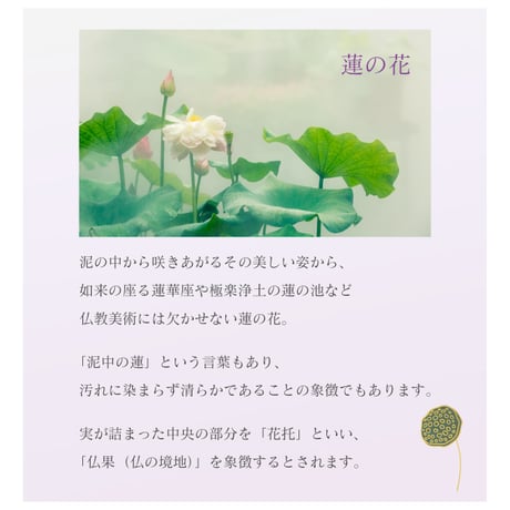 ［お供えの花］プリザーブドフラワー メモリアルラウンドM