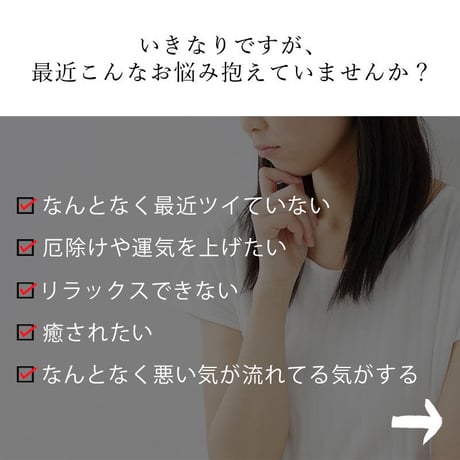 【リニューアル！】パワーストーン 浄化セット 丸皿 【送料無料】 空間浄化 ブレスレット浄化 天然石 さざれ石 水晶ポイント 開運 置物 インテリア 恋愛運 金運 仕事運 対人運 厄除け
