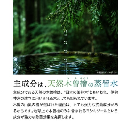 木曾檜歯磨きジェル オーラルケア 歯周病菌99.9％除菌 添加物ゼロ はみがき 歯磨き粉 口臭ケア 木曽ひのき ひのき 歯磨き剤 266075