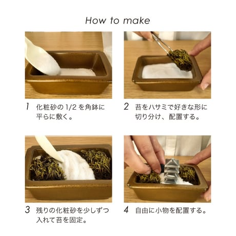 禅庭 zen garden kit 苔栽培キット スナゴケ 枯山水 キット 箱庭 テラリウム